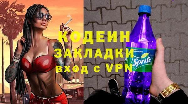 шишки Нязепетровск
