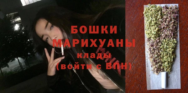 шишки Нязепетровск
