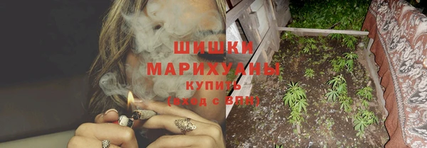 шишки Новокубанск