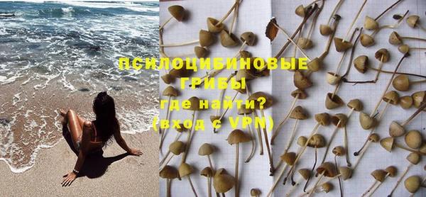 меф Няндома