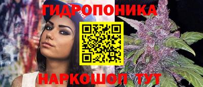 соль ск Будённовск