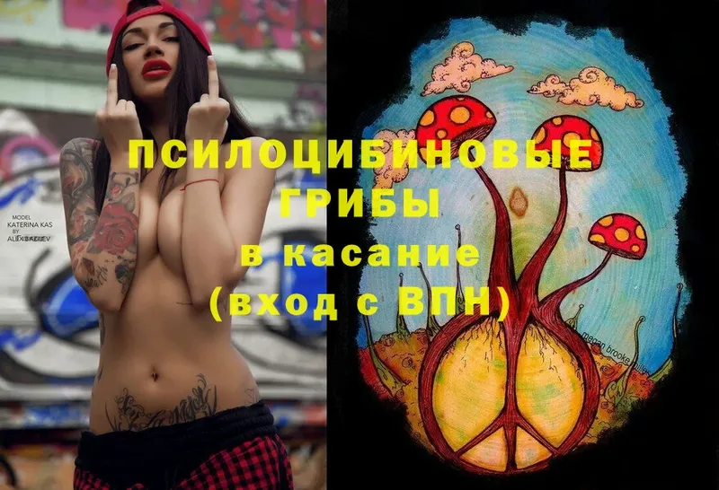 Галлюциногенные грибы мухоморы  Губаха 