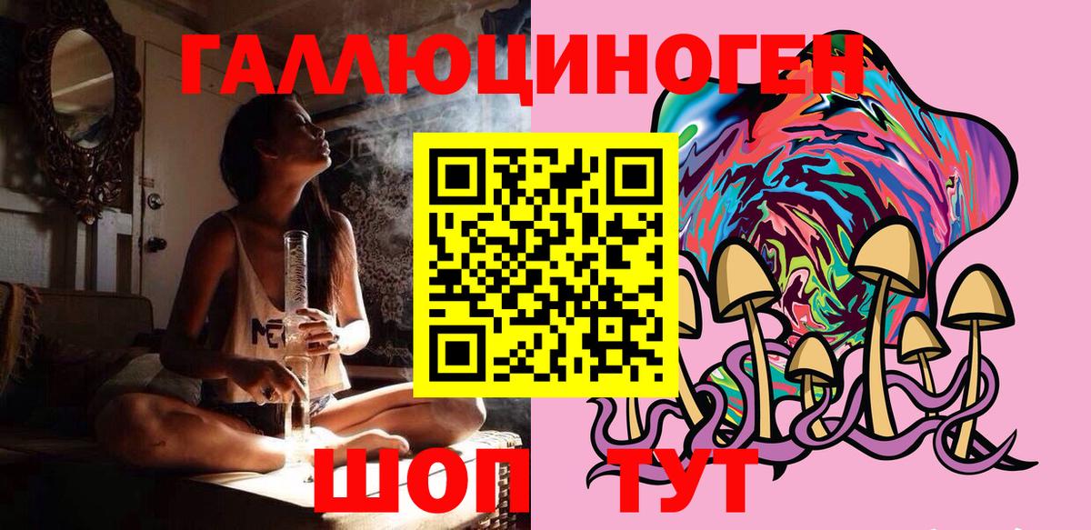 Галлюциногенные грибы Psilocybine cubensis  Губаха  что такое   Галлюциногенные грибы MAGIC MUSHROOMS 