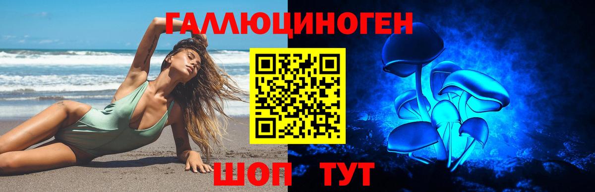 наркошоп  Псилоцибиновые грибы GOLDEN TEACHER  Вход с VPN  Губаха 