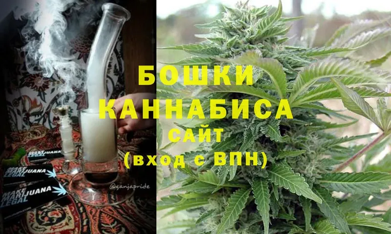 Бошки марихуана планчик  хочу наркоту  Губаха 