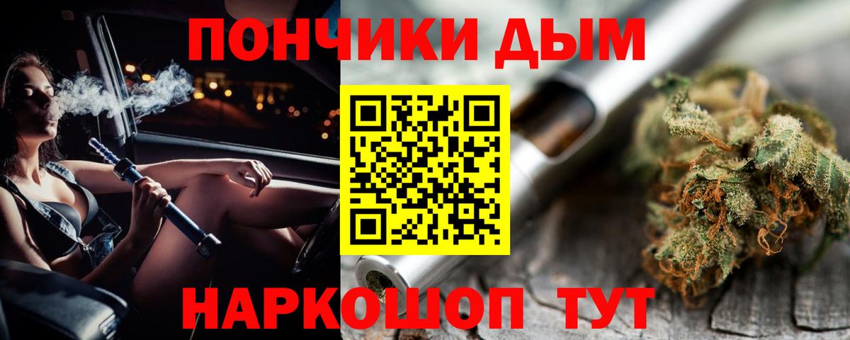 Бошки Шишки Amnesia  Марихуана план  Губаха  Бошки Шишки SATIVA & INDICA 